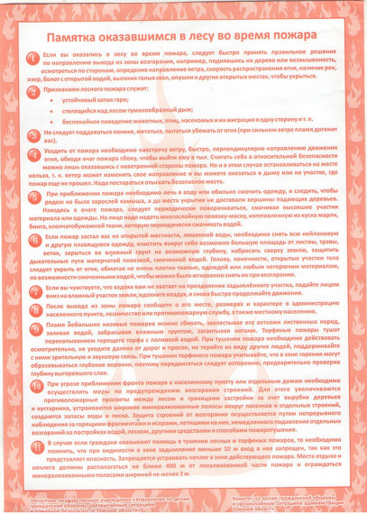 Памятка оказавшимся в лесу во время пожара. Памятка оказавшимся в лесу во время пожара.